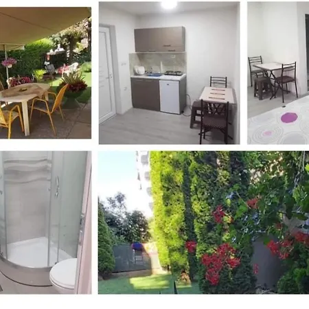 Apartment Garden House